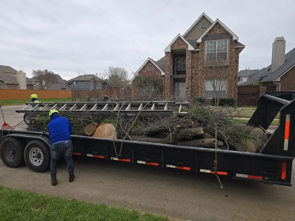 Expert Tree Fertilization with proper safety equipment in Pilot Point